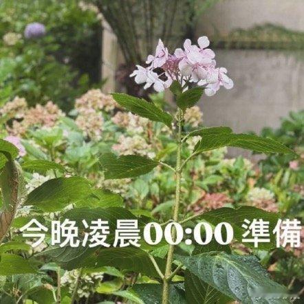 周杰伦的新专辑预热活动已于2026年3月18日0点正式启动，他将从今日起每日发布