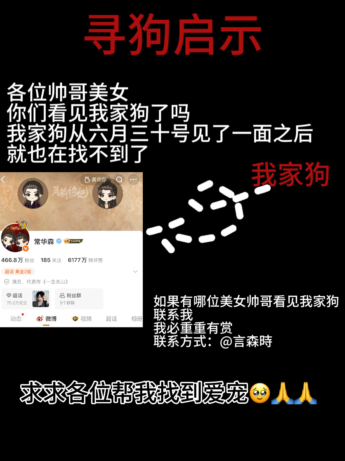 言森時在这里特地发出一份寻狗启示 