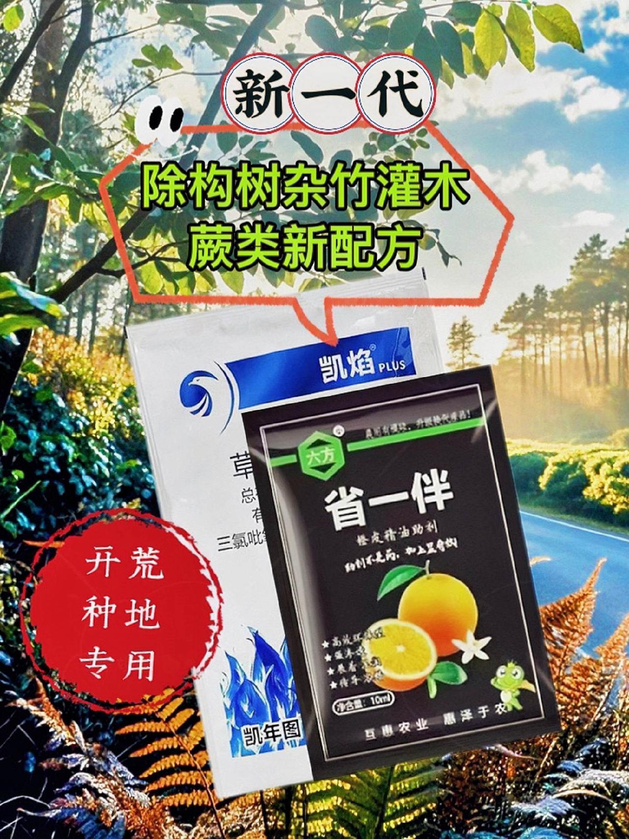 想知道构树灌木怎么除吗？构树灌木处理起来真的很让人头疼。那构树杂灌到底该怎么处理