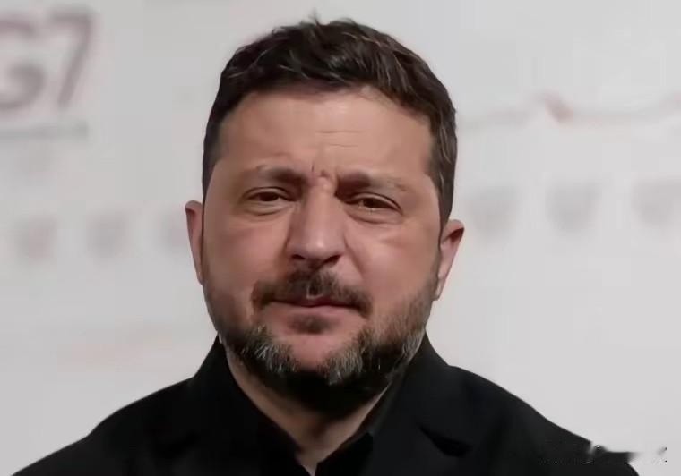 下面是泽连斯基G7峰会期间接受美国记者采访说的一段话，记者问他一个问题：你是个英