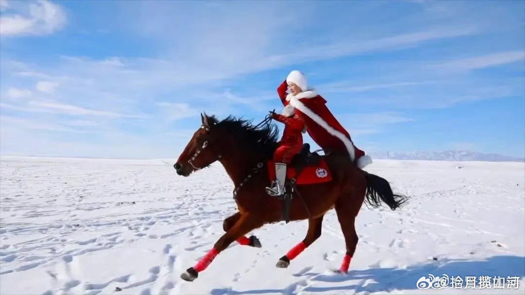 快讯：贺娇龙坠马离世；棋圣聂卫平逝世。 