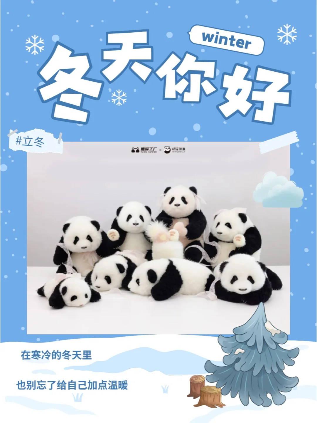 今日立冬，建议抱个熊猫崽崽回家过冬~