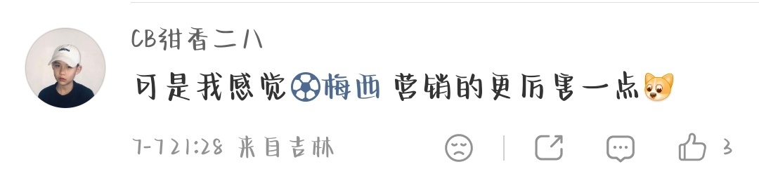 不是哥们 营销最多的另有其人吧 顺便给大家看看柴郡猫给我们罗哥做的总结网页链接