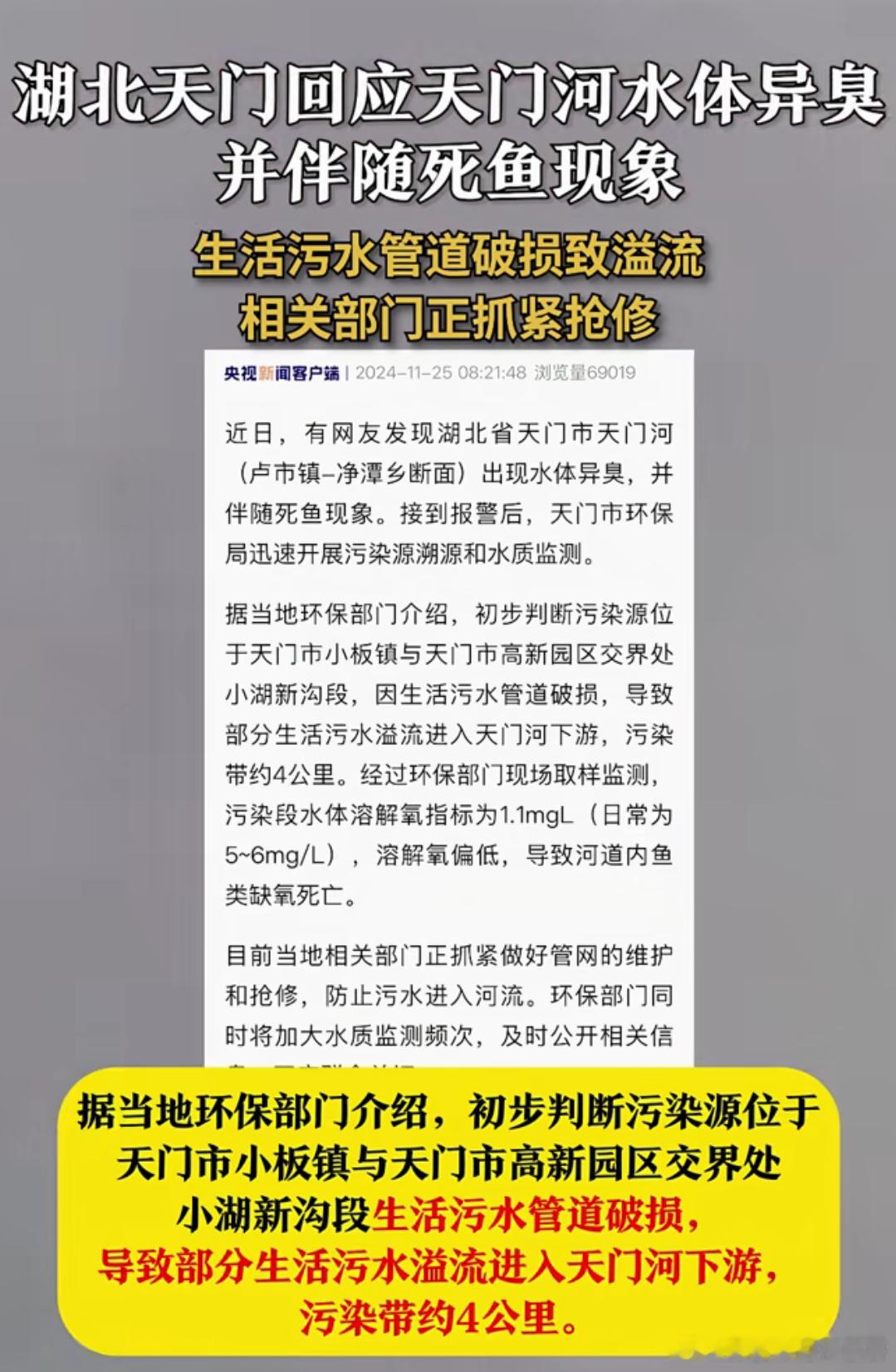 湖北天门一河流出现大量死鱼  根据新闻介绍是生活污水管道破裂，导致污水流进了天门