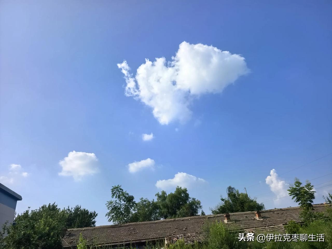已经退休的你，还记得哪个仪式感满满的不散的宴席？

三十多年的职工生涯经历了改制