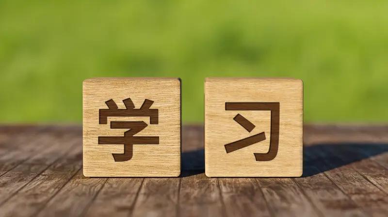 在慢慢变老的路上，我当然会学习。岁月就像钝刀，会消磨人的锐气，但我偏不向它低头。