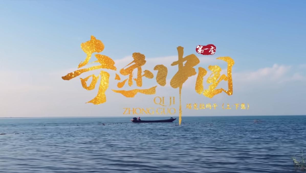 中国又创造奇迹了！曾是亚洲风沙源头的塔克拉玛干，40 年筑 3046 公里绿墙锁