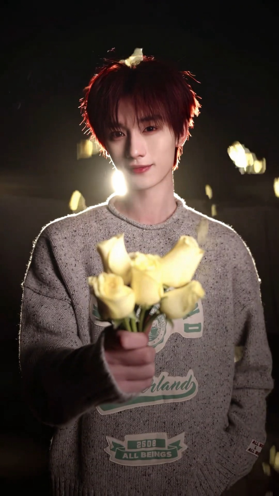 送黄玫瑰什么的最浪漫了丁程鑫黄玫瑰转场