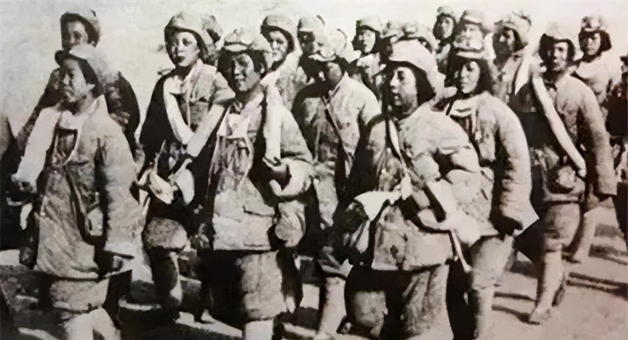 1956年11月初，南京的天气异常寒冷，街边的梧桐树叶落了厚厚一层，被疾风吹起又