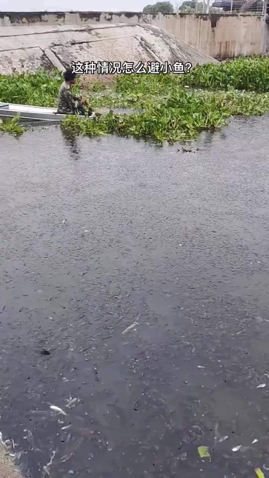 钓鱼的乐趣只有钓鱼人才懂 捞鱼摸虾
