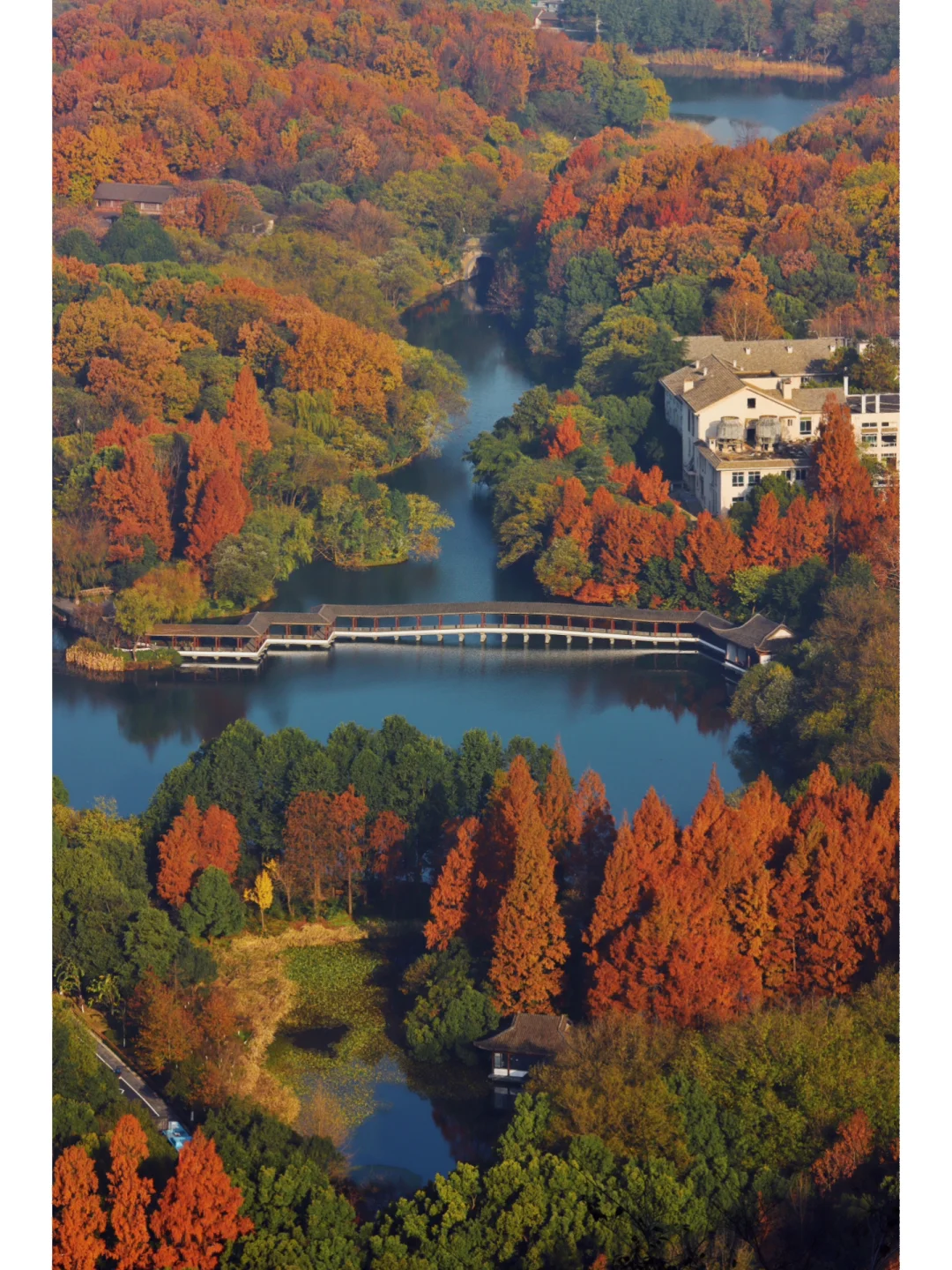 爬了座可以看到半个杭州的山 被美哭了❗️