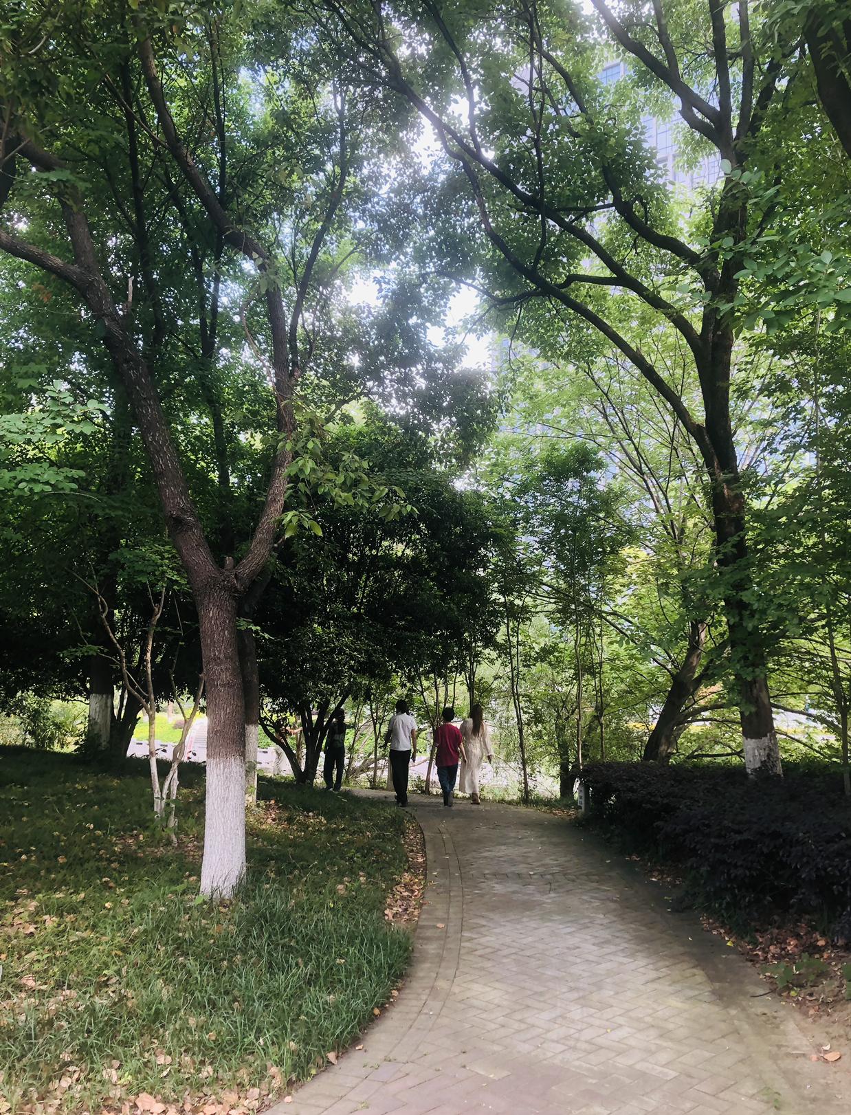 我的今日状态：😁轻松愉快
我这里的天气：☀️晴天
常州今天天气真的太舒服了，温