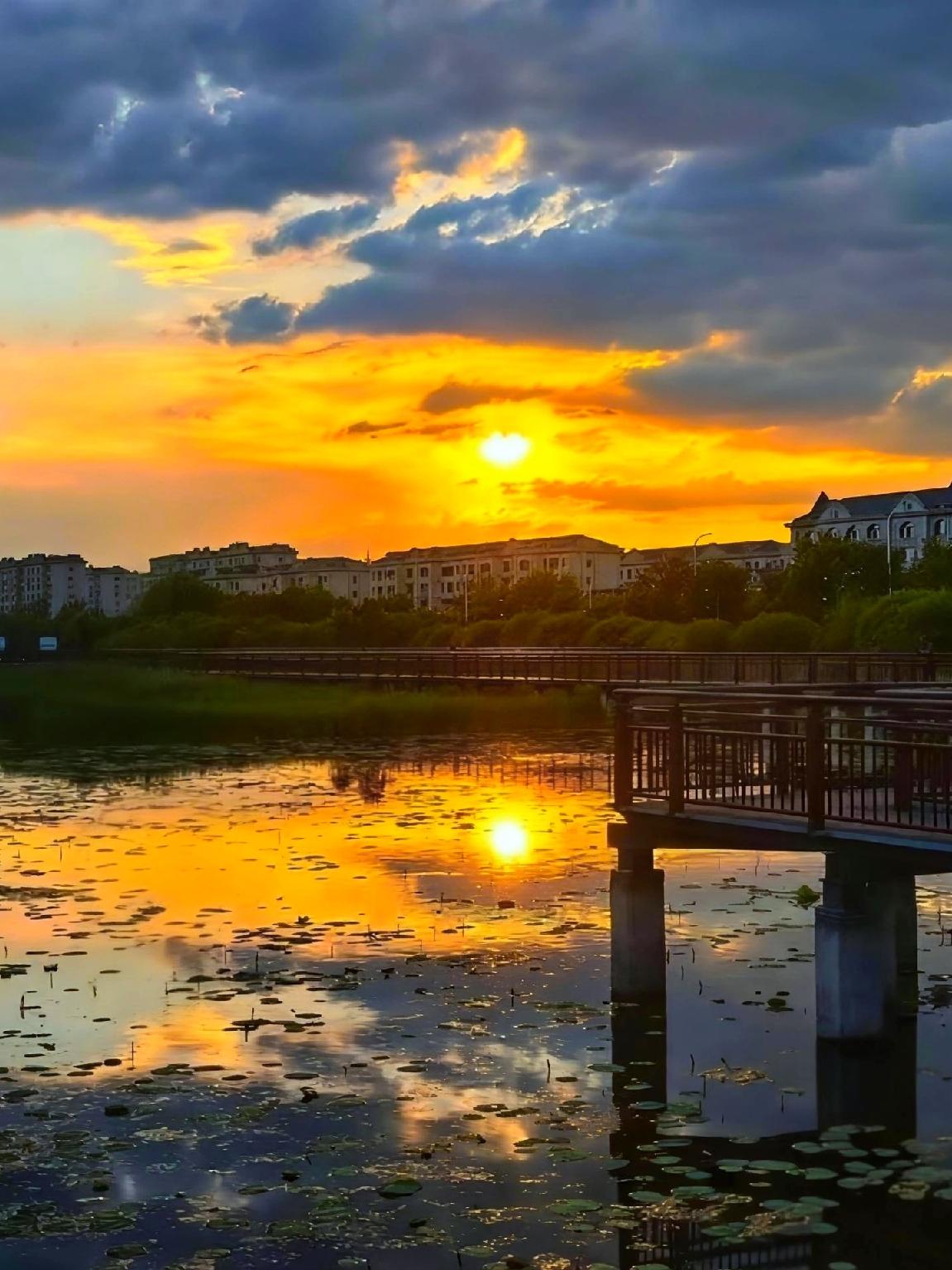秋日生活打卡季 秋日生活打卡季
以前总觉得“夕阳无限好，只是近黄昏”带着点怅然的