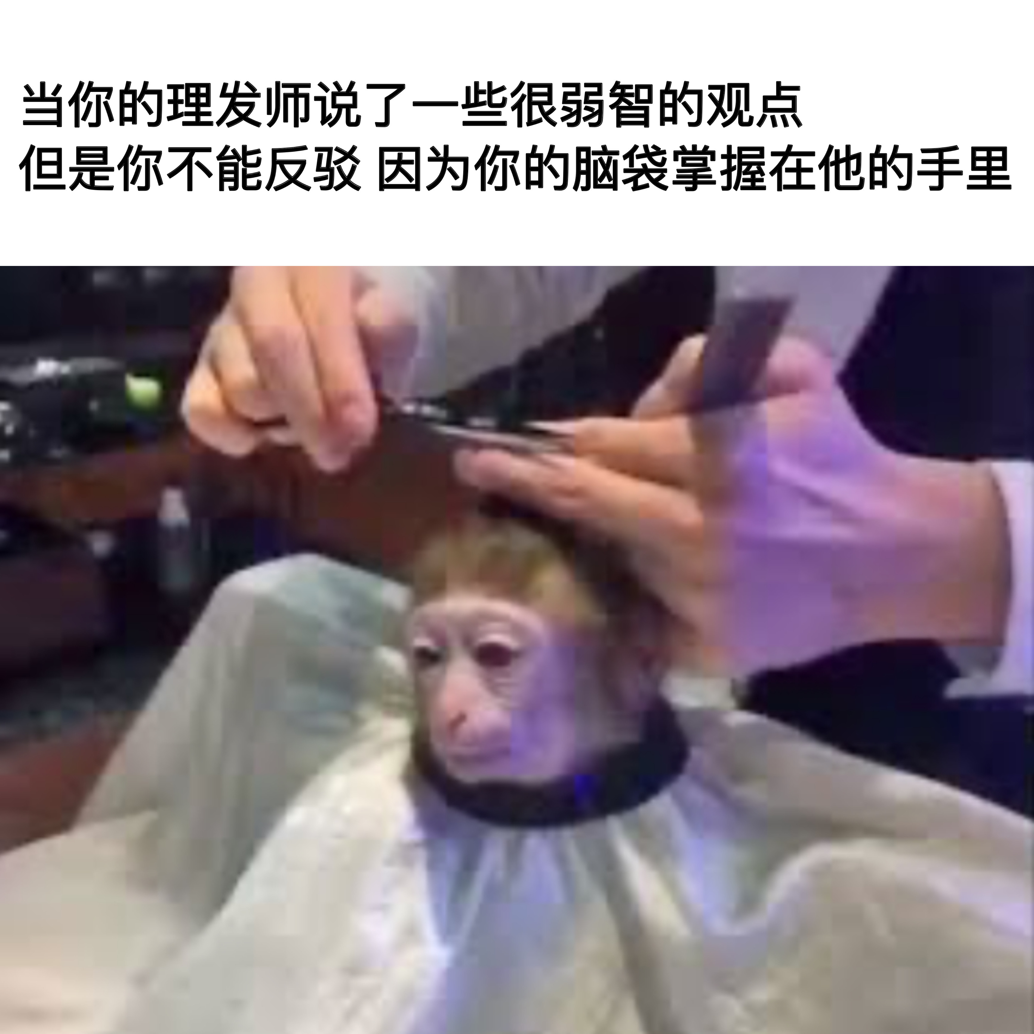 我只好默认咯#meme# ​​​