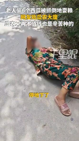 河南周口，一老人骑车偷了6个西瓜被瓜农当场抓获，瓜农称“再不值钱也是辛苦种的”，