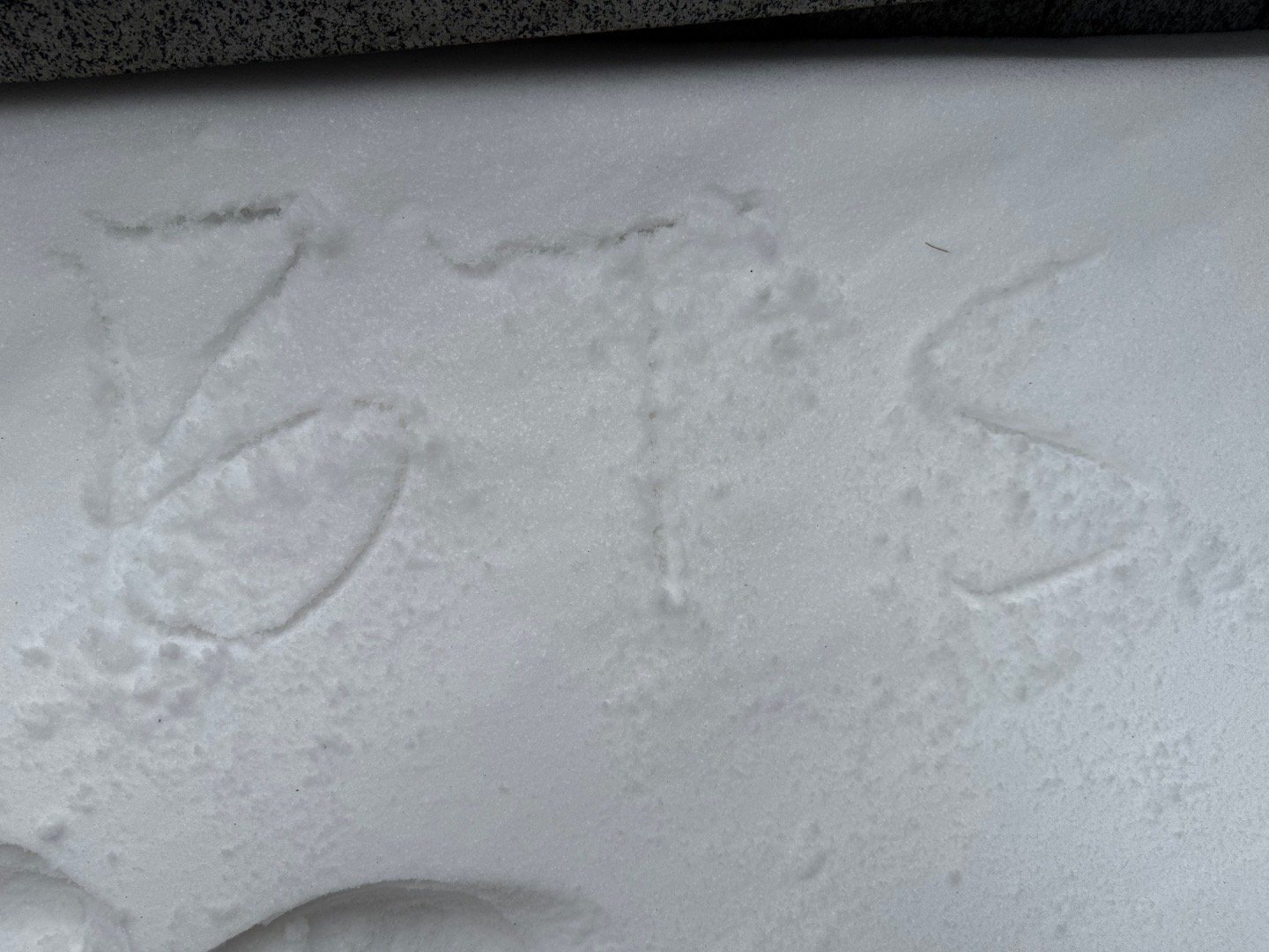 终于可以写字了评论一下要写的不超过3个字，有空的时候写 