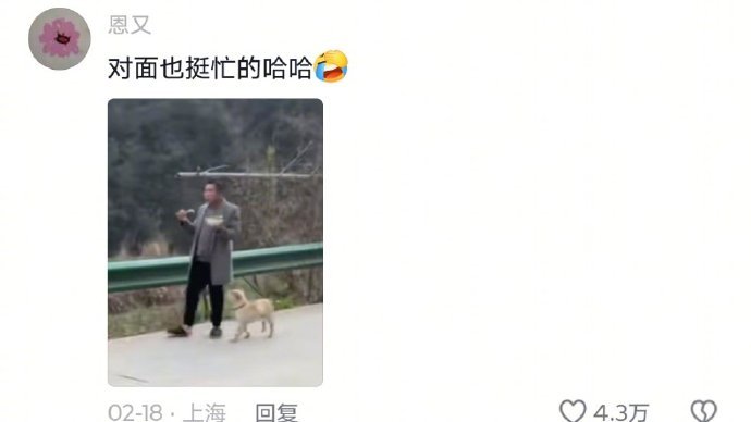 夹完菜自动解散啊 