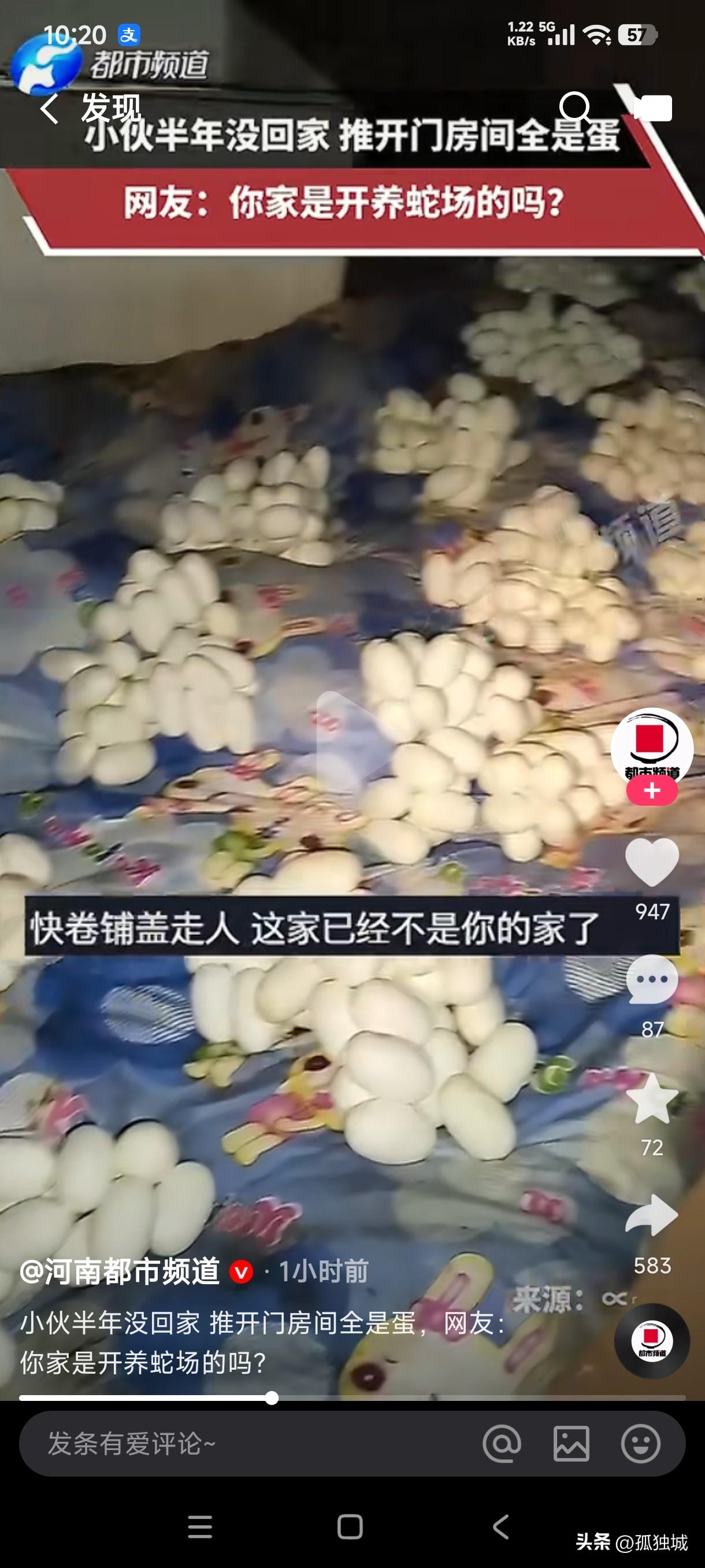小伙半年没有回家，推开门房间里面全是蛋，网友打趣道让他快卷铺盖走人，这已经不是他