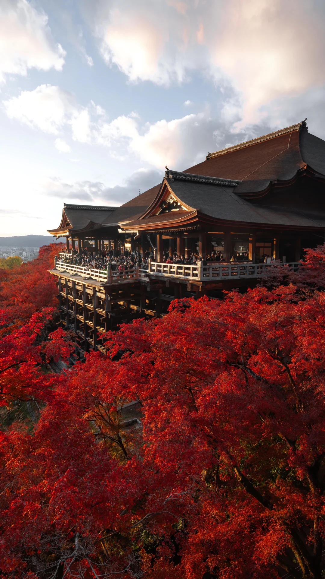 【全屏壁纸版】我拍到的9张日本枫叶封神图