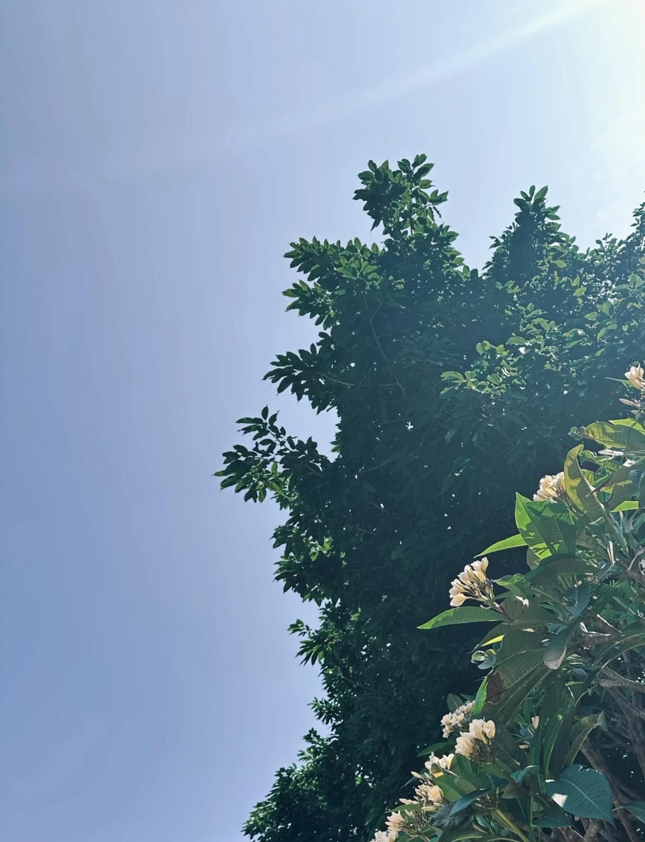 广州穿什么｜五一穿长袖春季穿短袖奇妙世界
好神奇，除夕我在穿短袖，五一出门出了衬