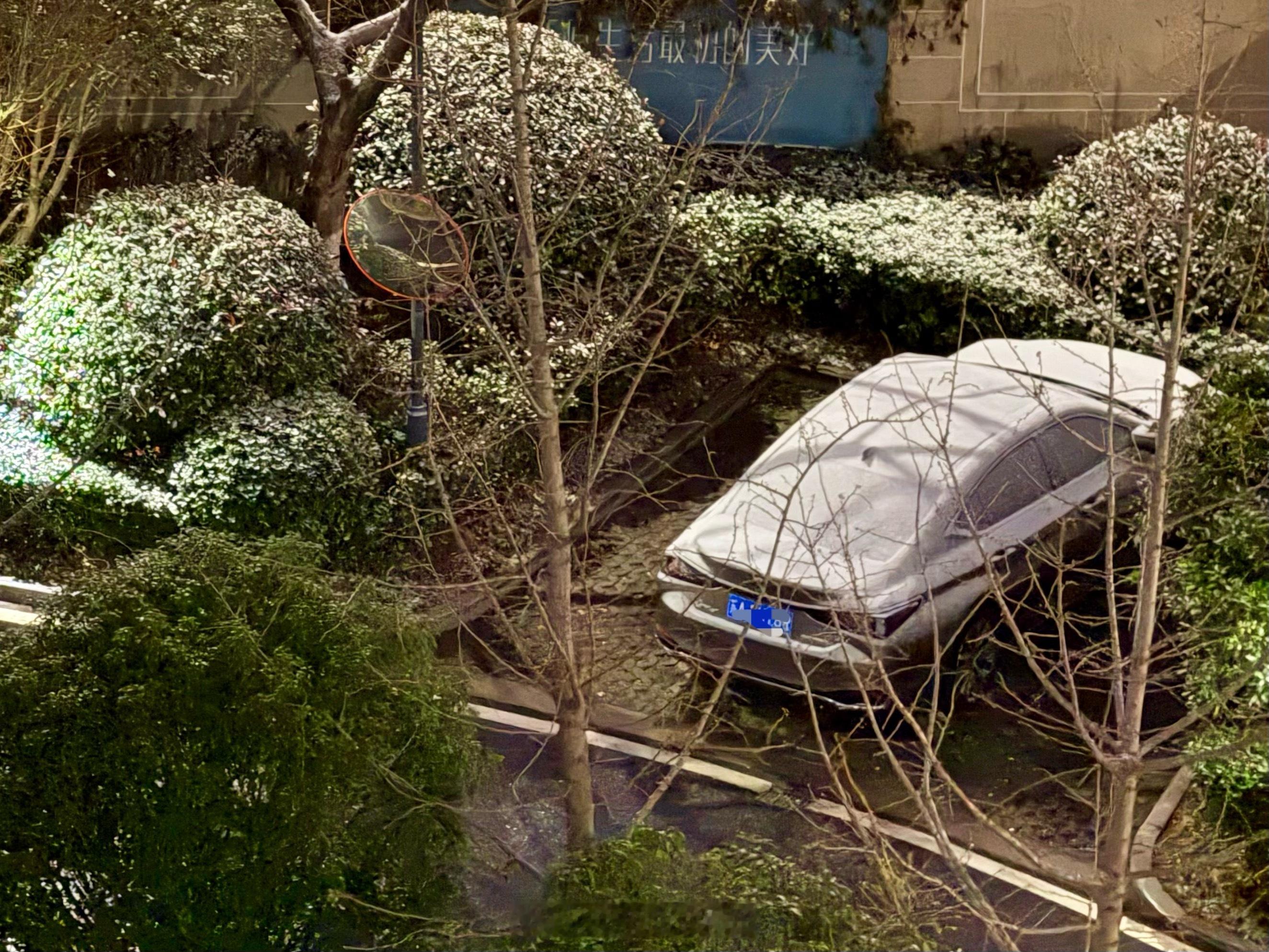 南京下雪啦🌨️南京下雪南京 南京