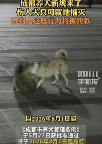 大家怎么看？5月27日成都养犬新规获批通过！8月1日起正式施行：遛狗不牵绳最高罚