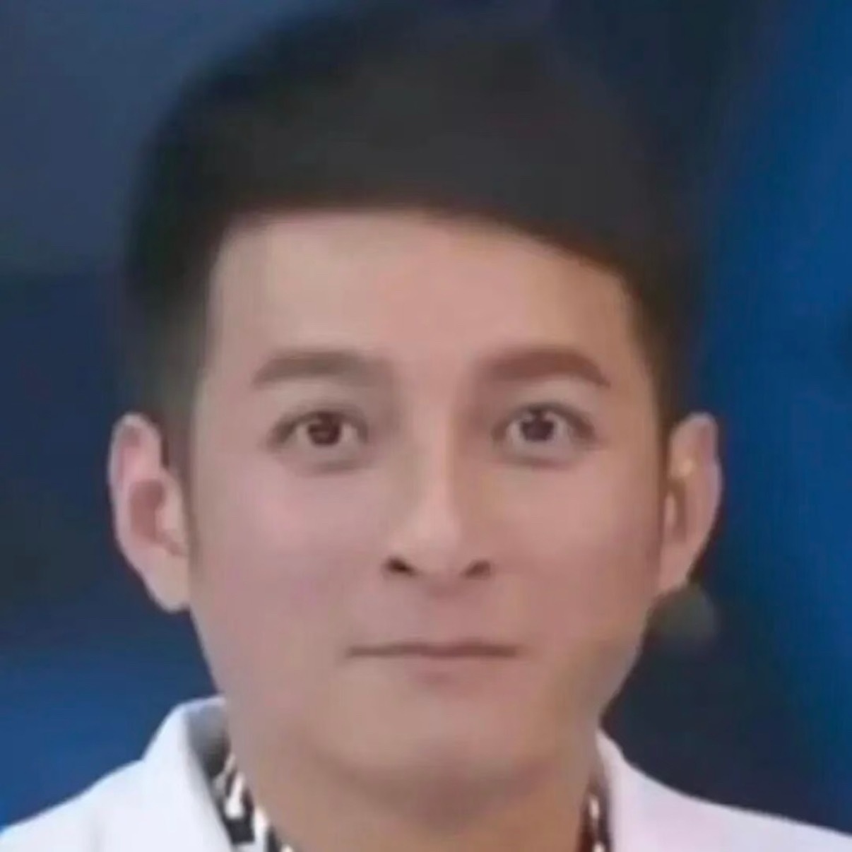 荷兰弟和维嘉长得好像荷兰弟和维嘉像是孪生兄弟，先分清这些表情包谁是荷兰弟谁是维嘉