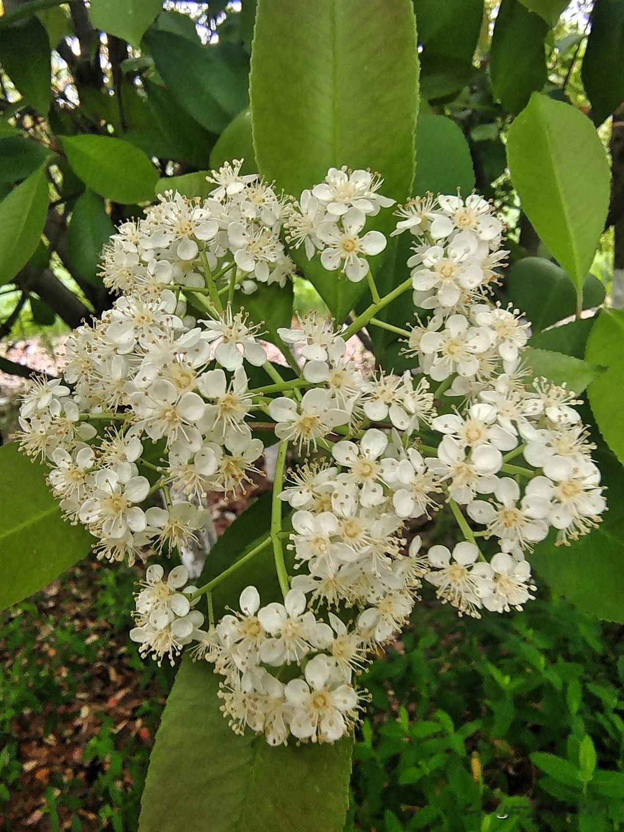 能让女人长久喜欢的要素是什么?

会挣钱来会关爱
干净利落又勤快
通情达理人不坏