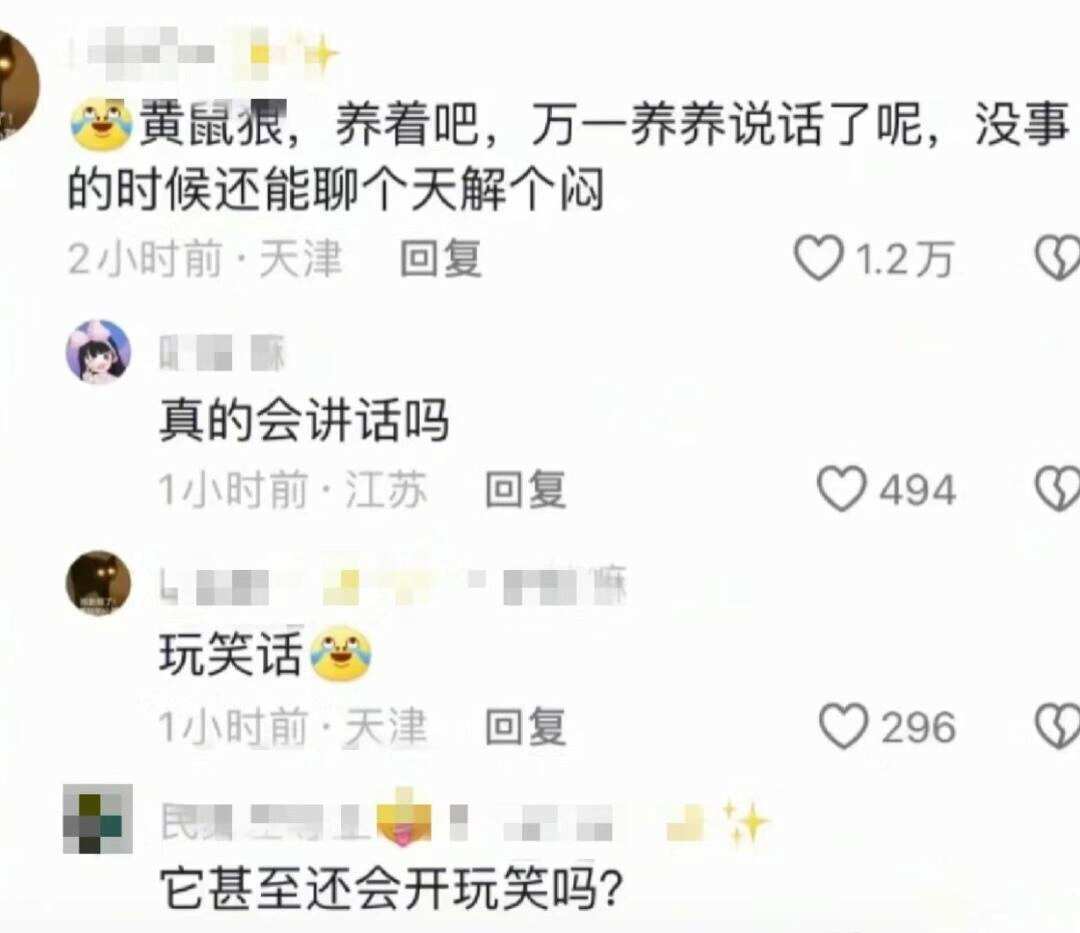果然真诚才是必杀技哈哈哈哈哈 