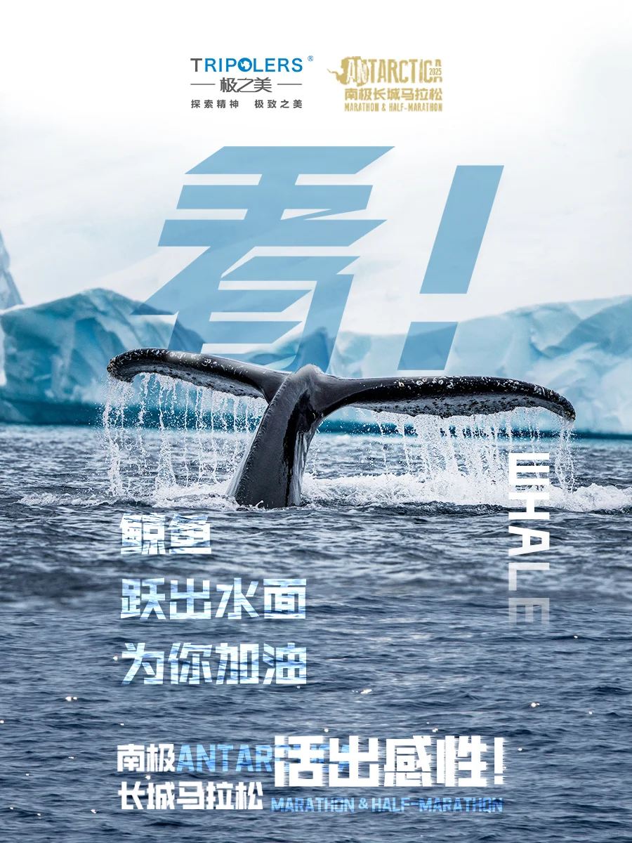 跑马神仙赛道，就该在南极啊啊啊啊啊！