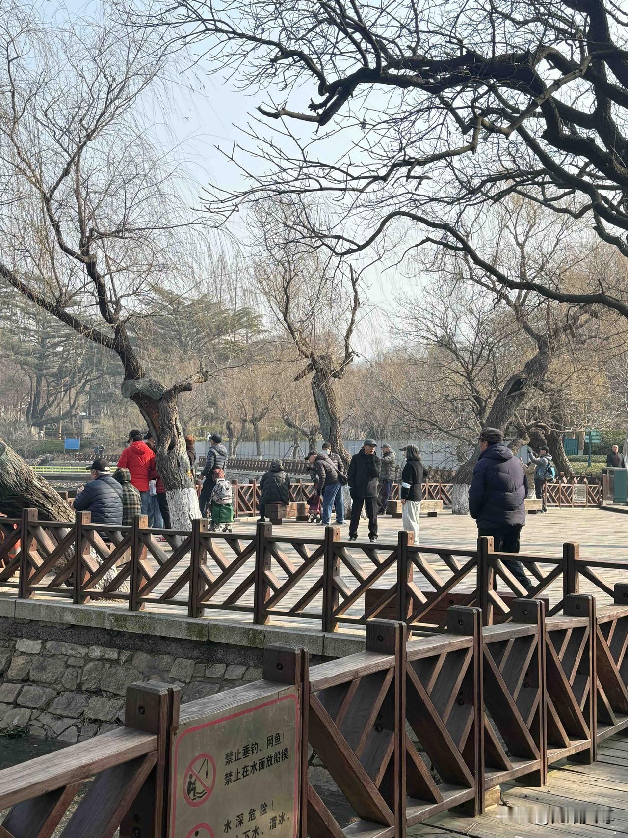 天南地北大拜年我昨上午去青岛中山公园游玩了，我特意从小西湖正大门进来的旁边就是小