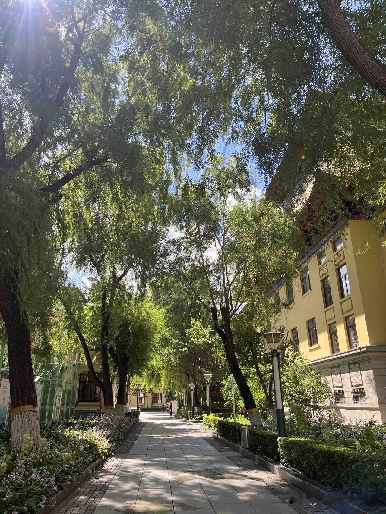 有段话是这么说的：“总有一天你会明白，人与人的争辩没有任何意义，每个人都只会站在