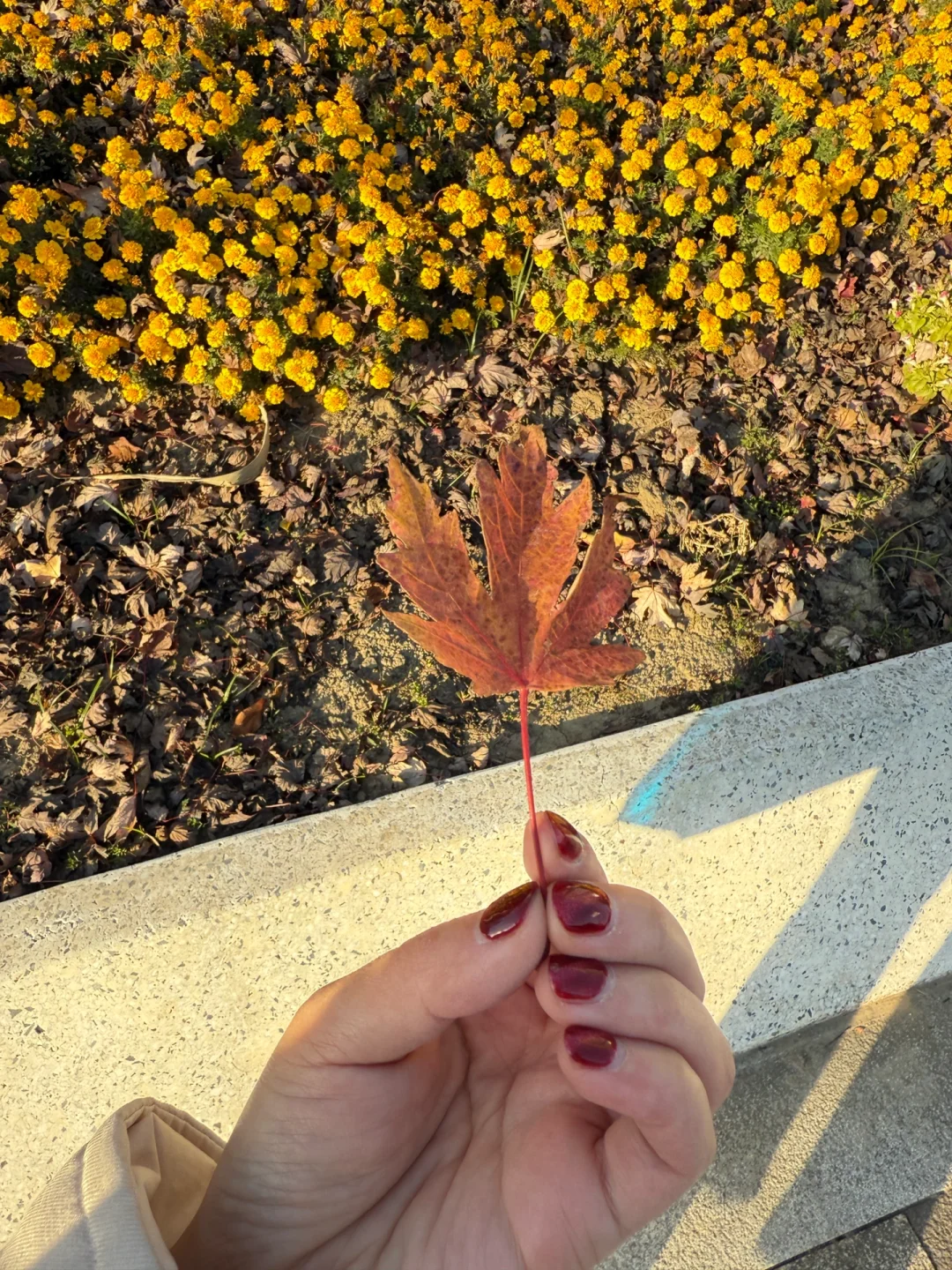 看芽妹的主页 无力的默默流泪
