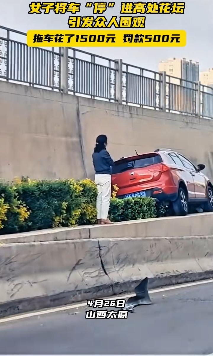女子把车“停”进高处花坛这事儿太奇葩，瞬间就引来了众人围观。想象一下那奇特的停车