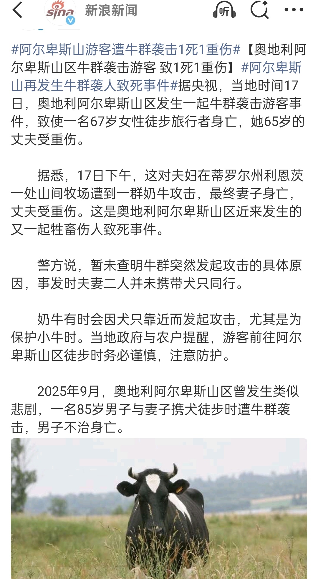 是家养的牛吗
