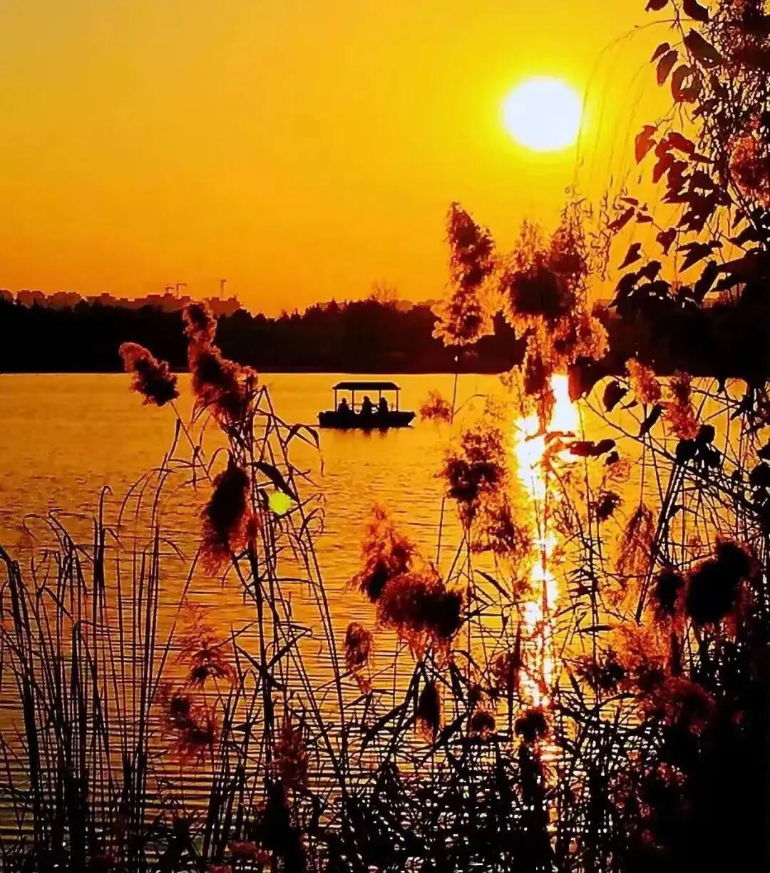 世界上最不可靠的，
就是关系，
落井下石的，都是自己人，
看你笑话的，都不是外人