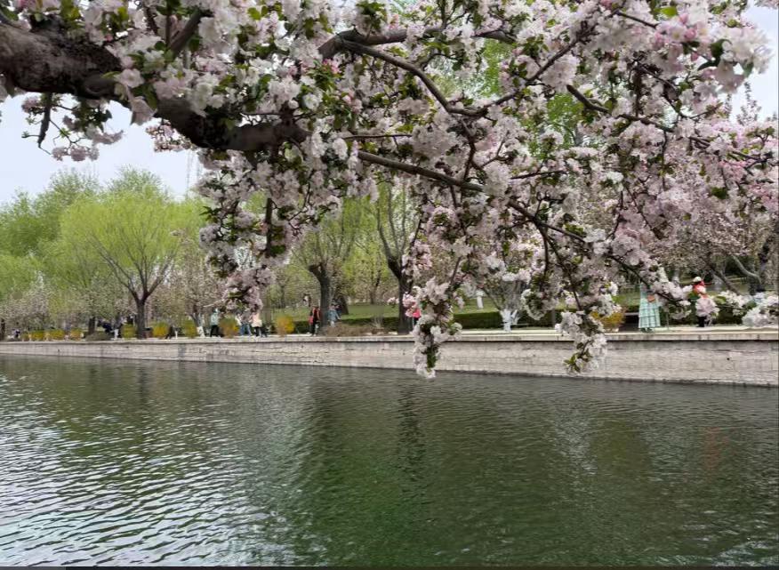 谁有好看的花卉图片分享下