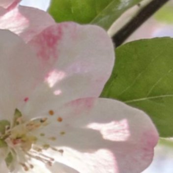 每日一善   每日一善   阳光信用 生活，需要追求；梦想，需要坚持；生命，需要