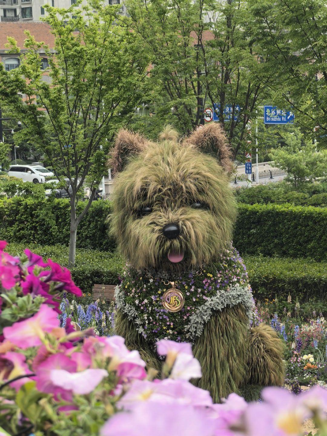 中午看了眼目前上海最🔥西高地。 