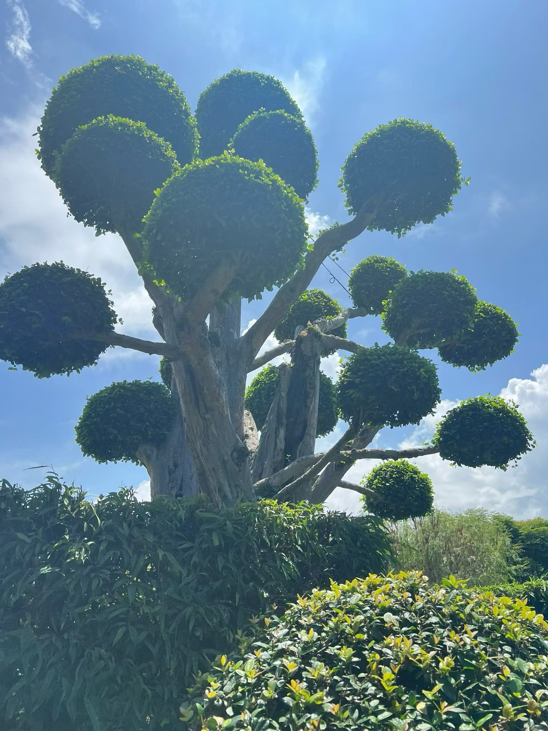 生活很好，记得微笑，众人难调，开心就好，爱自己的明媚，也爱自己的心碎。 