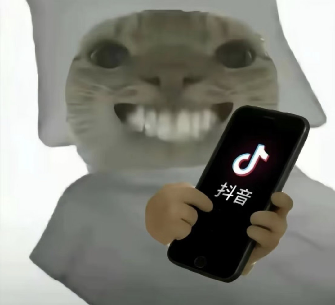 于是，我开始不断循环⟳ 