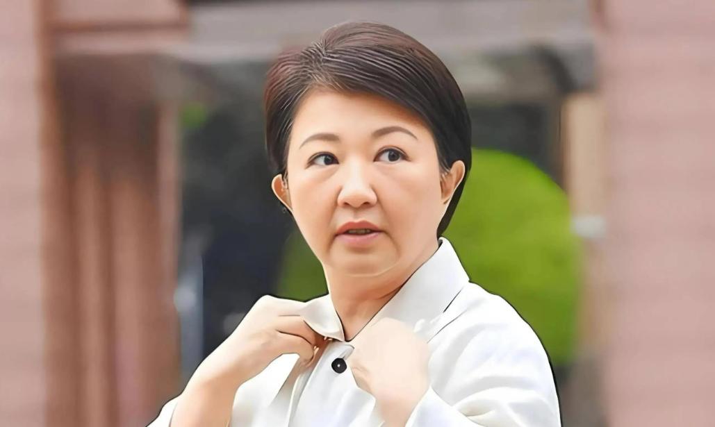 卢秀燕关键表态，值得肯定：明确台湾是一个省！针对岛内年底选举，台中市长卢秀燕在受