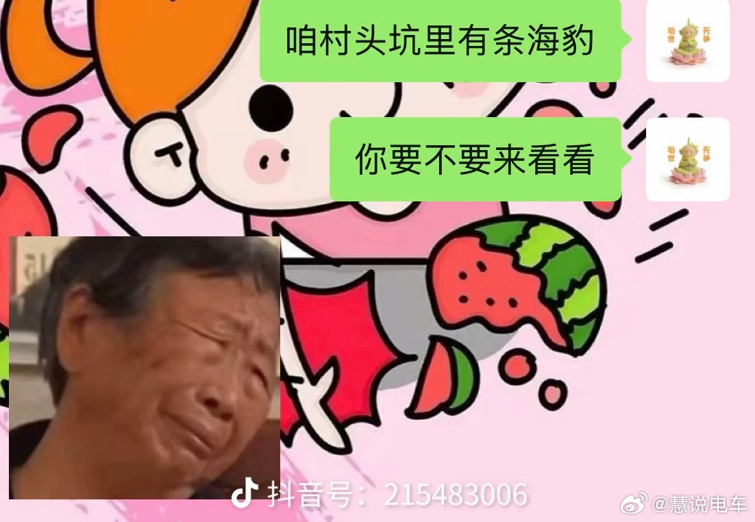 车开坑里了 俺对象没给我离婚还怪好比亚迪搞笑