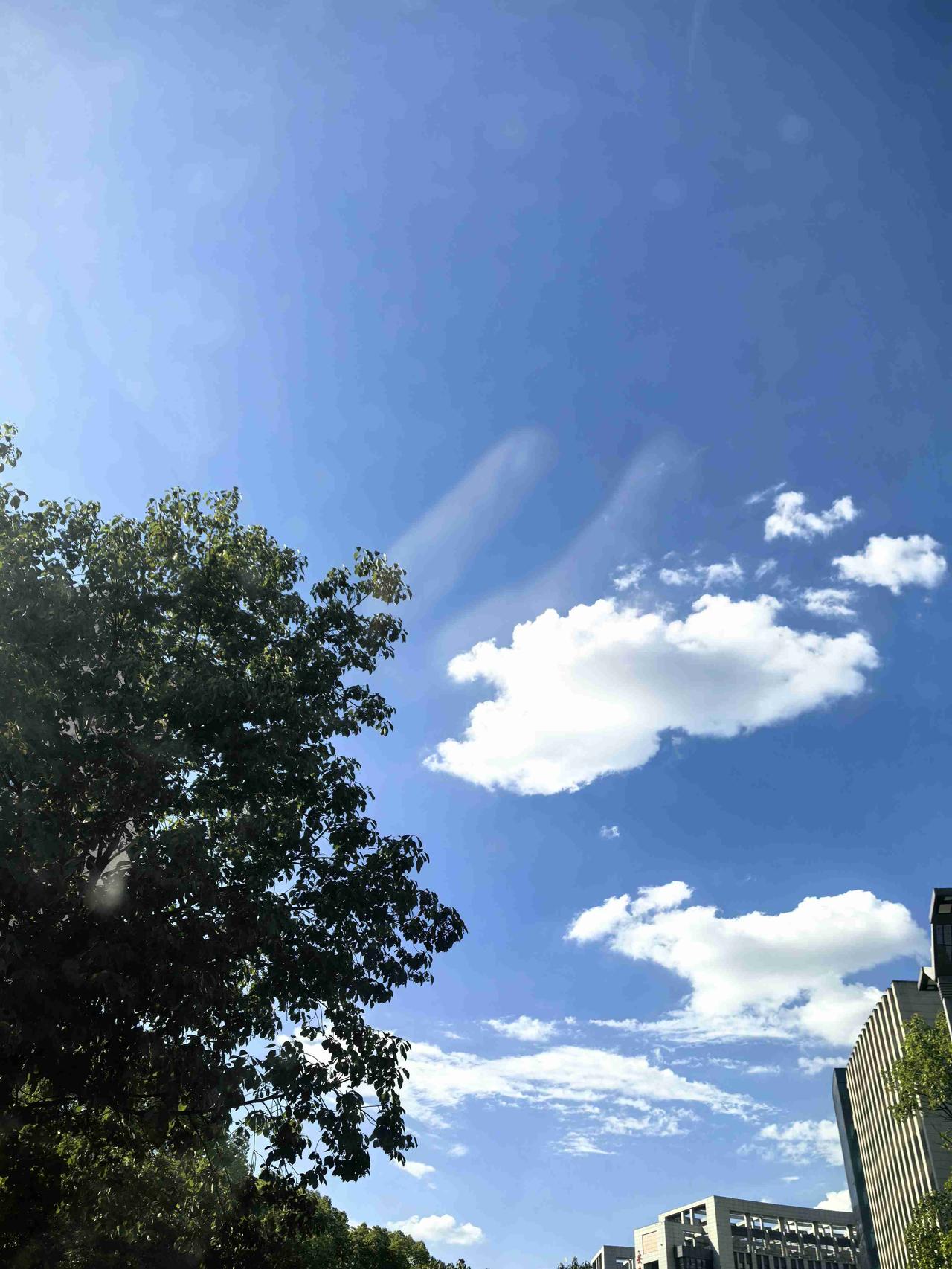我的今日状态：😁轻松愉快
我这里的天气：☀️晴天
连续两天都那个时间点下了一场
