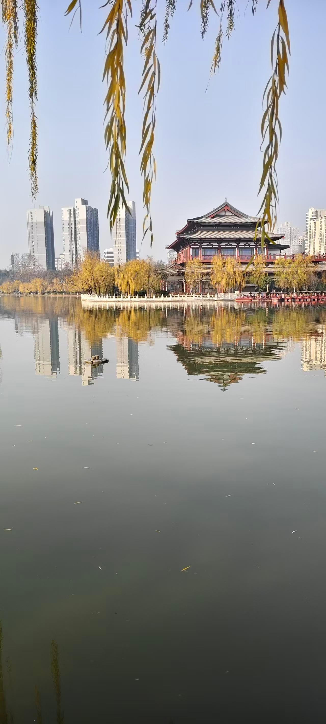 曹公心语｜投入八万养金毛，一场经历让老人看透养狗得不偿失
 
清晨跑步，碰到老高