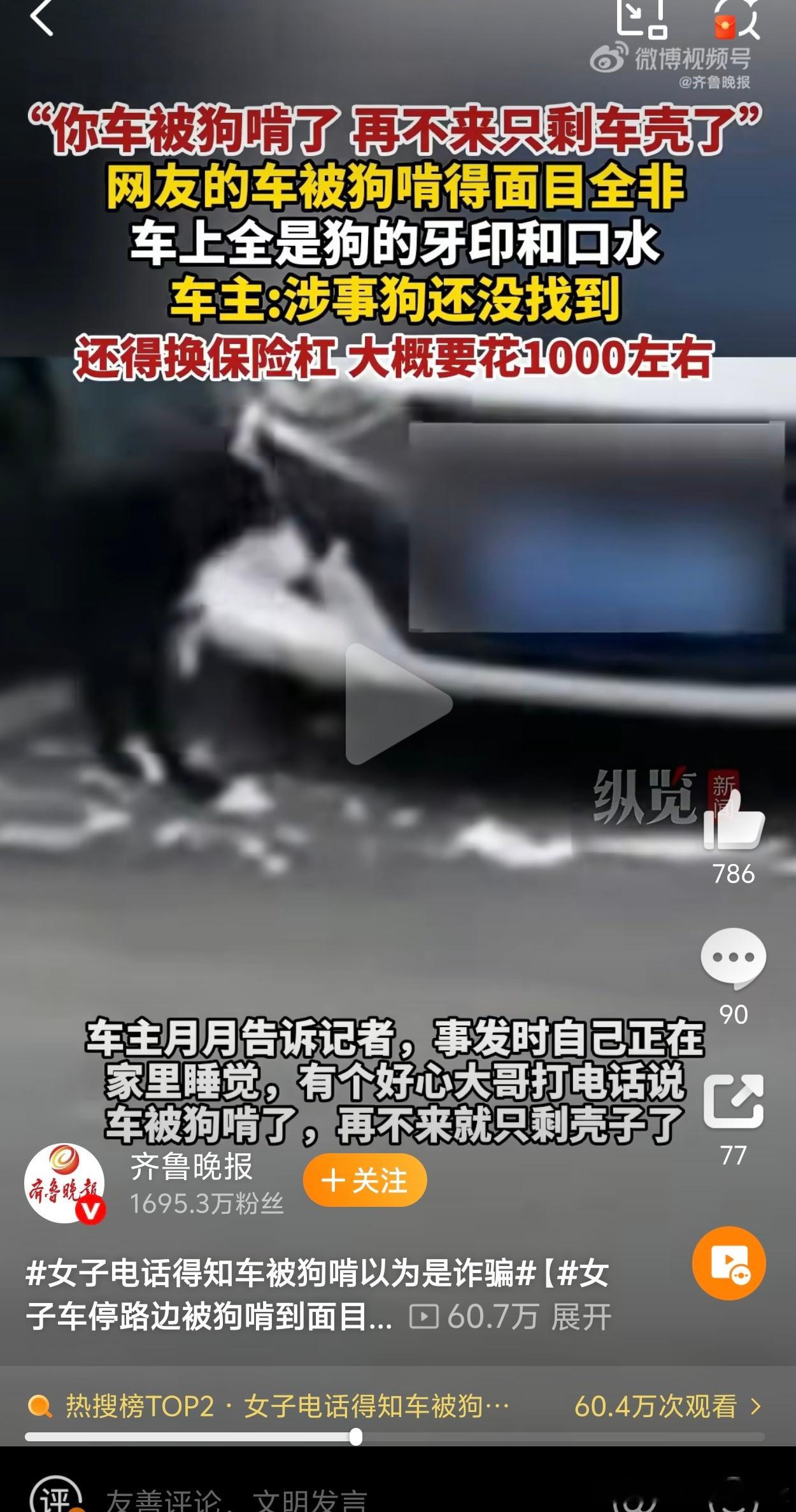 女子电话得知车被狗啃以为是诈骗太过于离谱反而是真事哈哈哈哈 ​​​