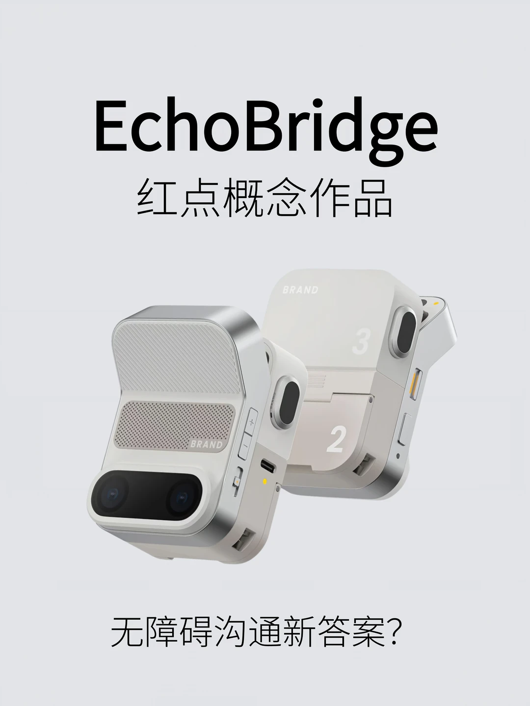 EchoBridge！