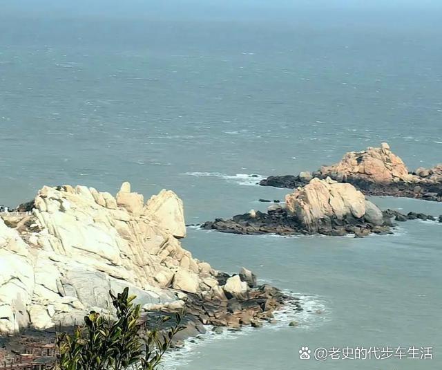 O型血和A型血，怎么生出B型血的儿子？高中入学体检单上那一小格数据，比任何捉奸在