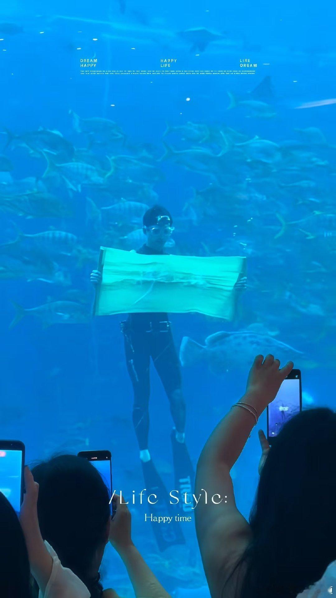 水族馆的男美人鱼竟然是吴磊挖到超惊喜的水族馆彩蛋，梦幻人鱼画面格外养眼，凑近一看