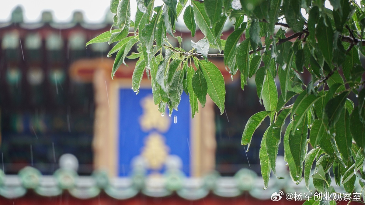 股东出资：你以为的“期限利益”，可能是悬顶之剑股东认缴出资，看似拥有“期限利益”